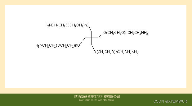 CAS:169501659，4Arm PEGAmine，4armPEGNH2，四臂聚乙二醇氨基