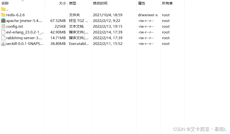 Erlang和RabbitMQ的rpm源文件放到服务器的opt文件夹下