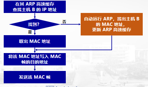 【计算机网络】网络层：ARP地址解析协议